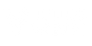 VEESINI