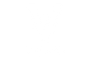VEESINI