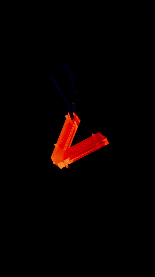 VEESINI KEYCHAIN LIMITED 1 OF 99